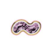 224