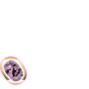 256