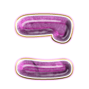 010