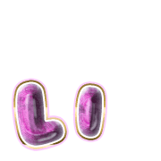 048