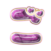 060