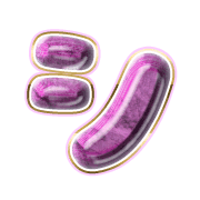 092