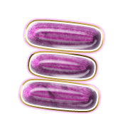 112