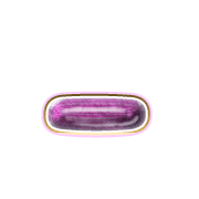 161