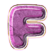 167