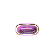 251
