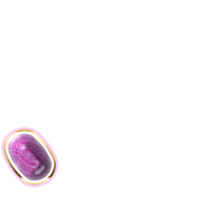 256