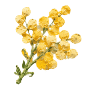 028
