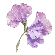 029