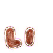 048