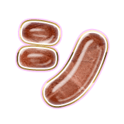 092