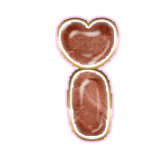 196