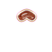 231