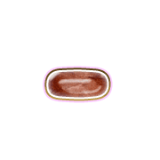 251