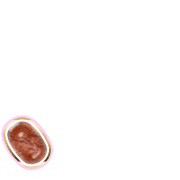 256