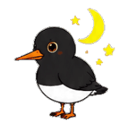 003