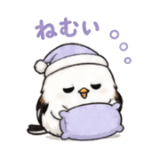 004