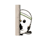 005