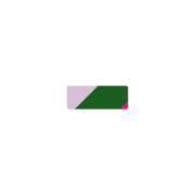 251