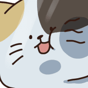 003
