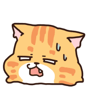 031
