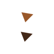 244