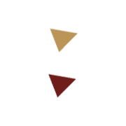 244