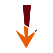 261