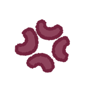 038