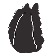 019