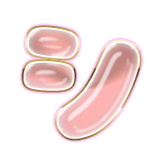 092