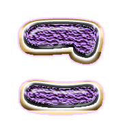 010