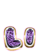 048