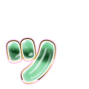 132