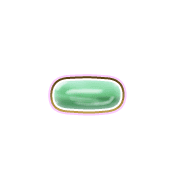 251