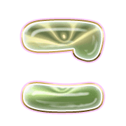 010
