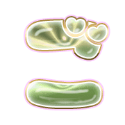 060