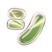 092