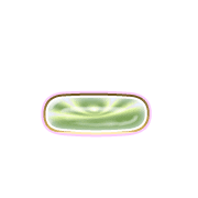 161