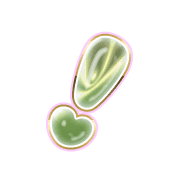 225