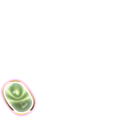 256