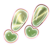 268