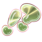 269