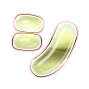 092