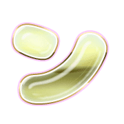 126