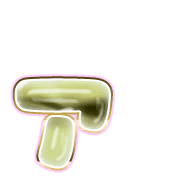 127