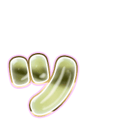 132