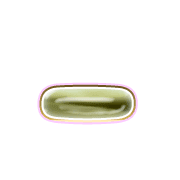 161