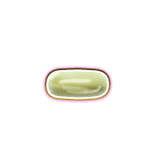 251