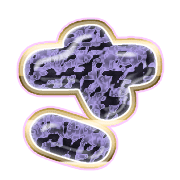 011